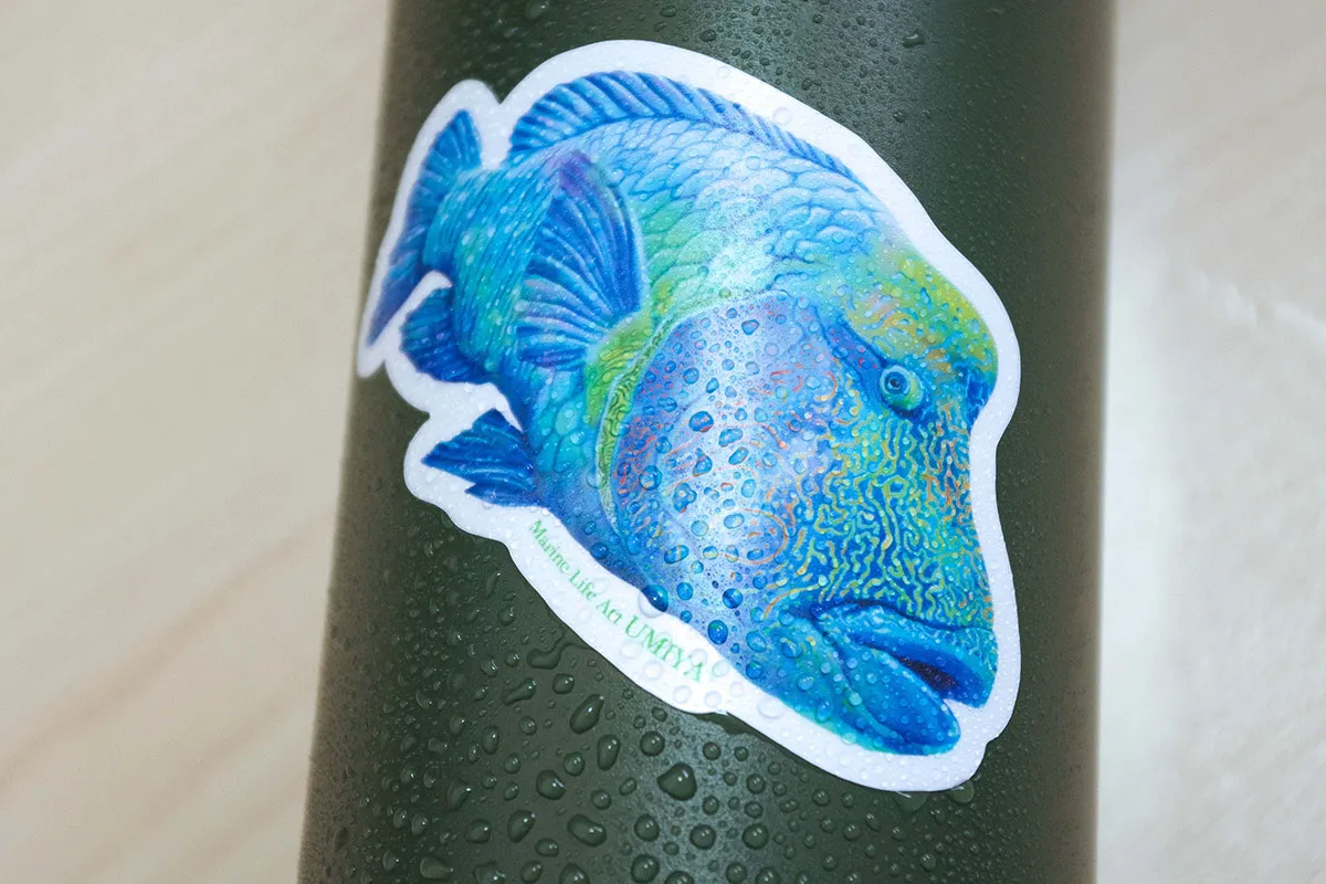 お魚ステッカー｜防水-2