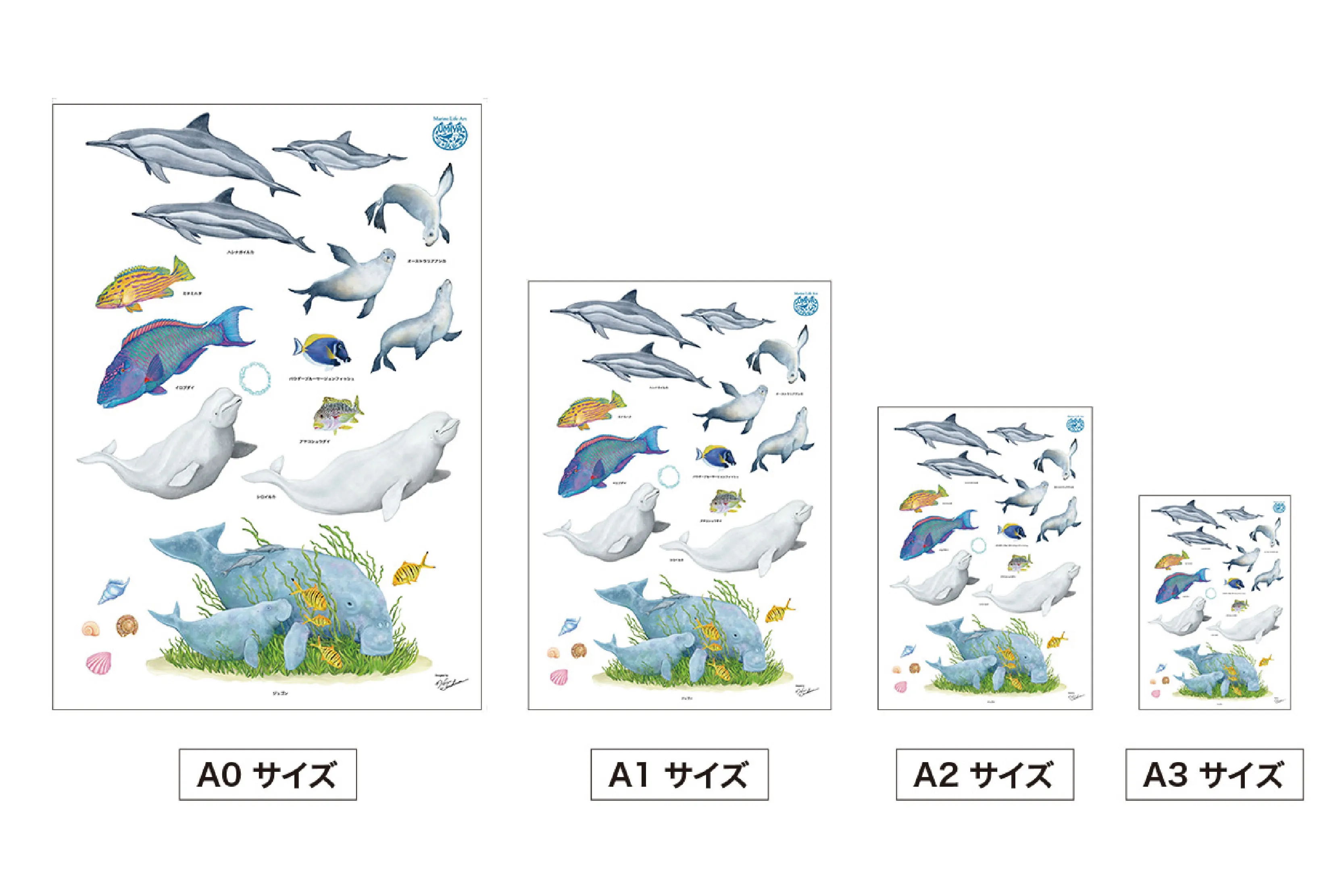 海の生きものウォールステッカーのサイズ各種