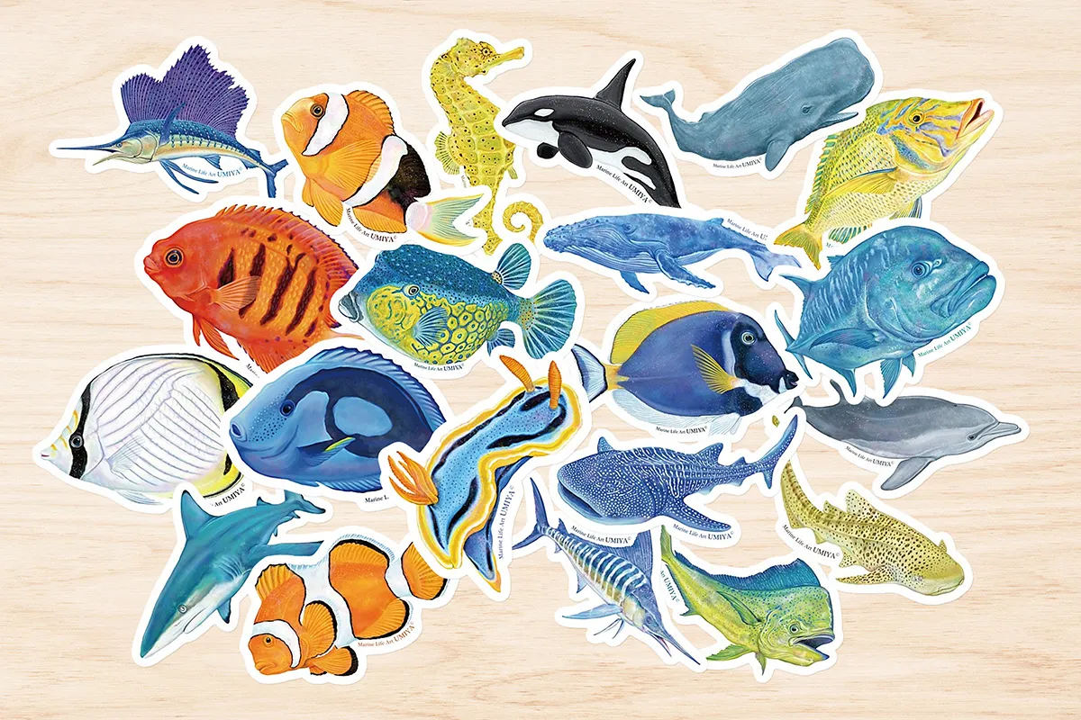 お魚ステッカー｜集合写真